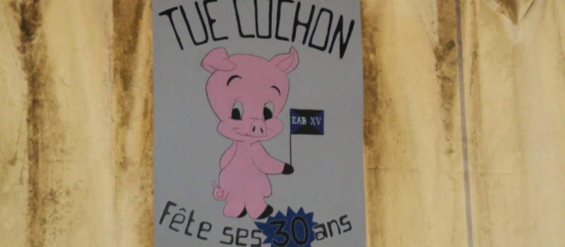 Le Tue cochon