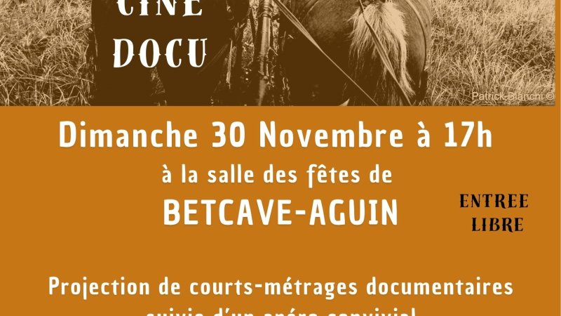Projection-rencontre de l'atelier vidéo "Bavard'âges de voisinage"