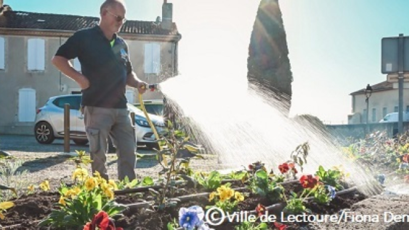 Lectoure, ville 4 fleurs, passe au fleurissement d’hiver