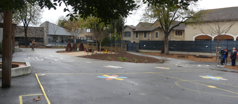 Végétalisation des cours d'écoles