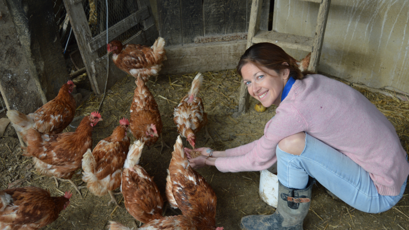 Sauvetage de poules : offrez-leur une seconde vie !