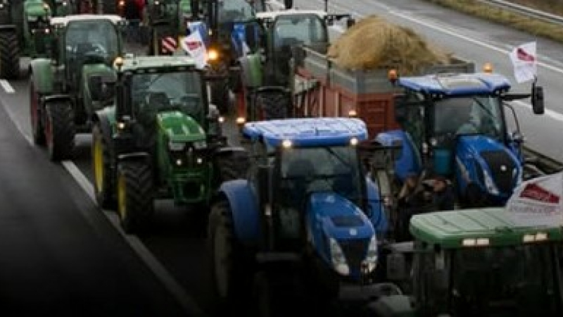 Administration implacable : abattage total, pas de tri, pas de pitié.