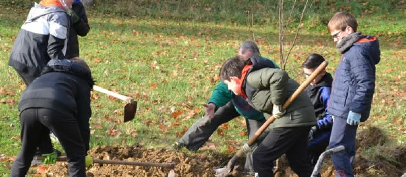 Environnement - « Une forêt gourmande » en 2026