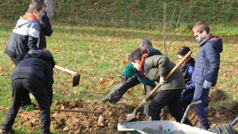 Environnement - « Une forêt gourmande » en 2026
