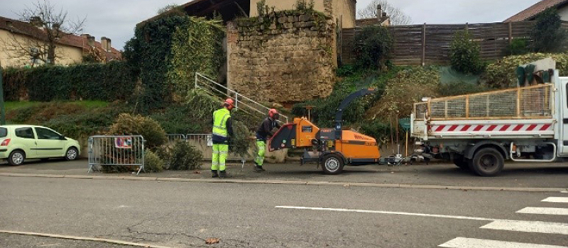 Récup des sapins un geste écolo