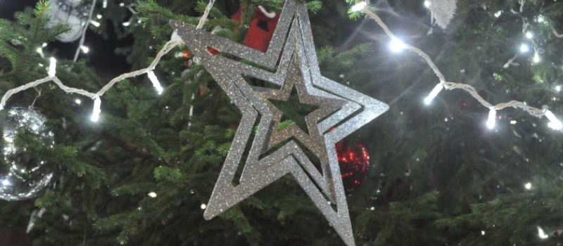 Donnez une seconde vie à votre sapin !