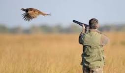 Chasseur.jpeg
