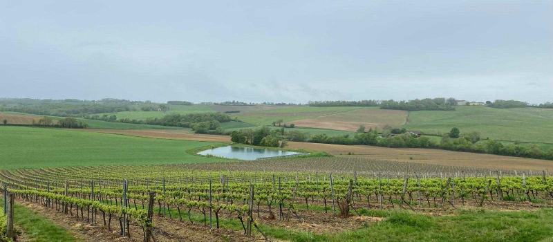 La FDSEA - Fédération Départementale des Syndicats d’Exploitants Agricoles du Gers - communique