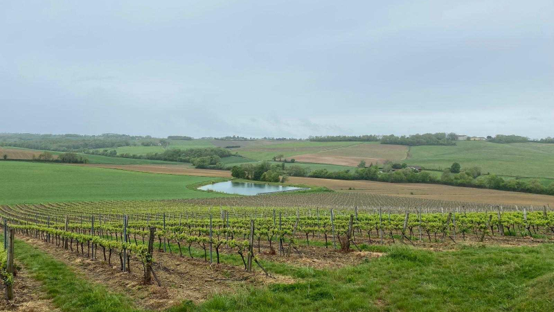 La FDSEA - Fédération Départementale des Syndicats d’Exploitants Agricoles du Gers - communique