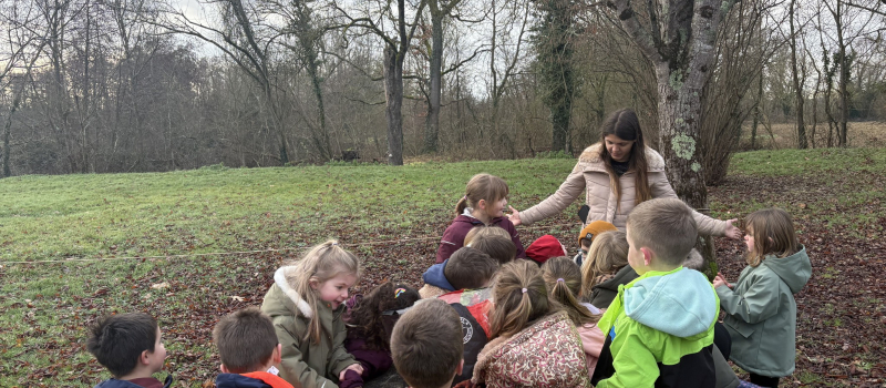 Education, environnement