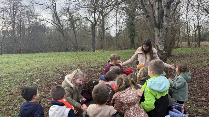 Education, environnement
