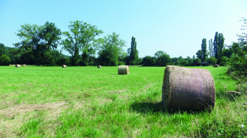 La Région Occitanie réaffirme son soutien à l’installation agricole etau renouvellement des générations