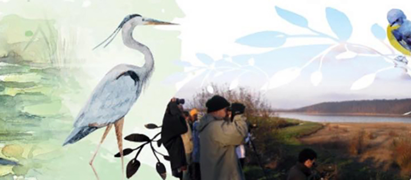 Découverte nature autour du heron