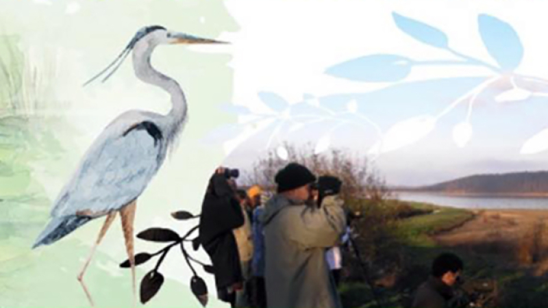 Découverte nature autour du heron