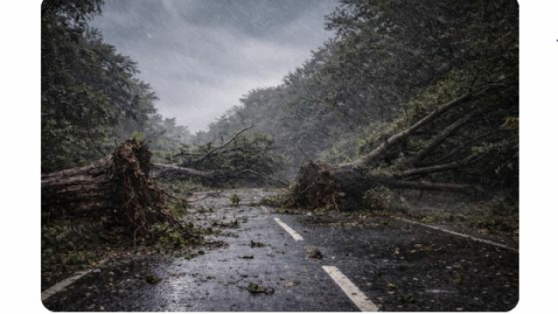 Le député Jean-René Cazeneuve s'exprime sur la tempête