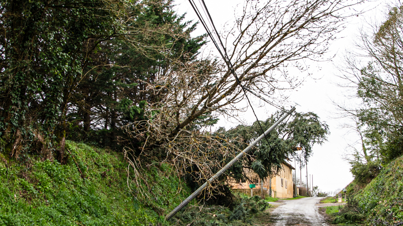 Bouzon-Gellenave: exemple de village touché par la tempête