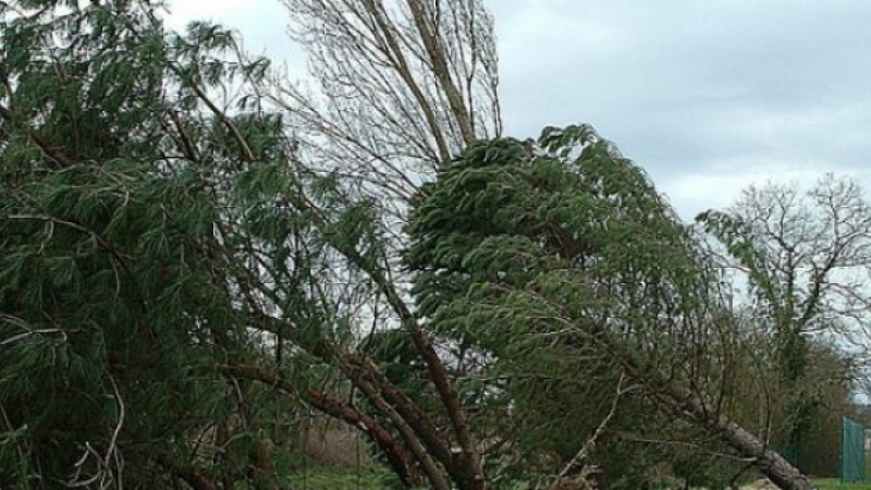 Alerte météo : vigilance jaune vents violents