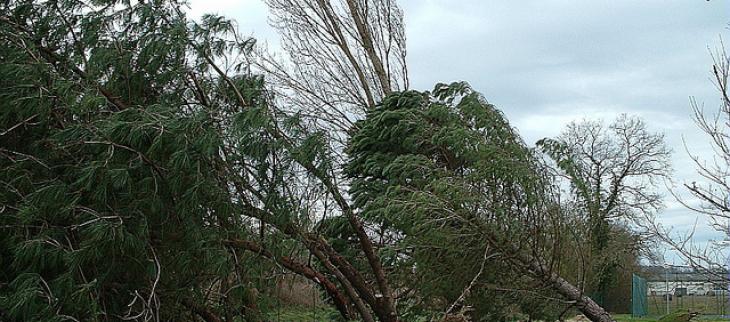 Vent-Capdegelle Denis-Météo-France.jpg
