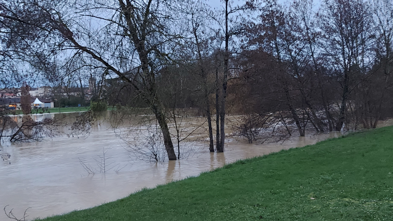Tempête Pedro ce mercredi : le Département invite à la prudence sur les routes en raison du risque de nouvelles chutes d’arbres