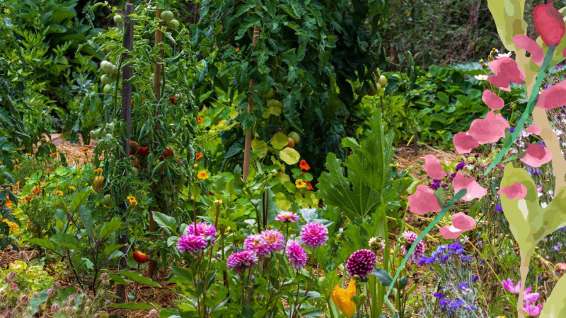 Adapter son jardin et gestion de l'eau économe