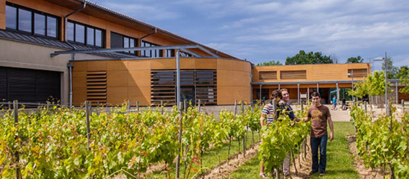 Plus de 15 M€ de la Région pour la rénovation énergétique et la modernisation des lycées d’Occitanie