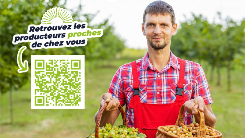 Noisette du Gers : une filière d’avenir