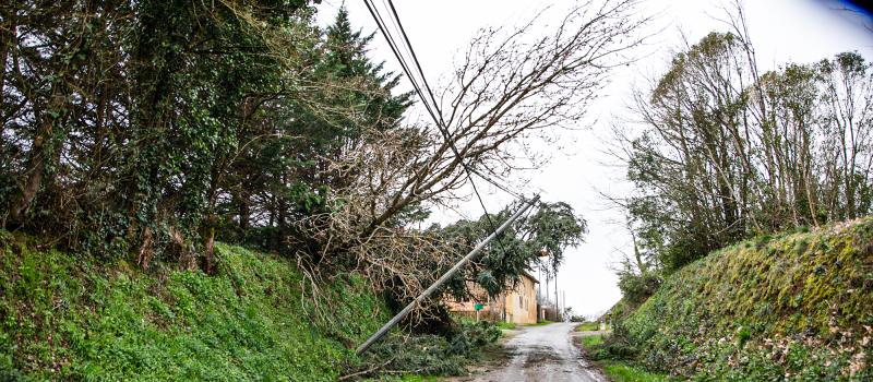 Bouzon-Gellenave: un bûcheron au travail après la tempête