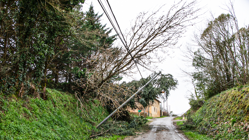 Bouzon-Gellenave: un bûcheron au travail après la tempête