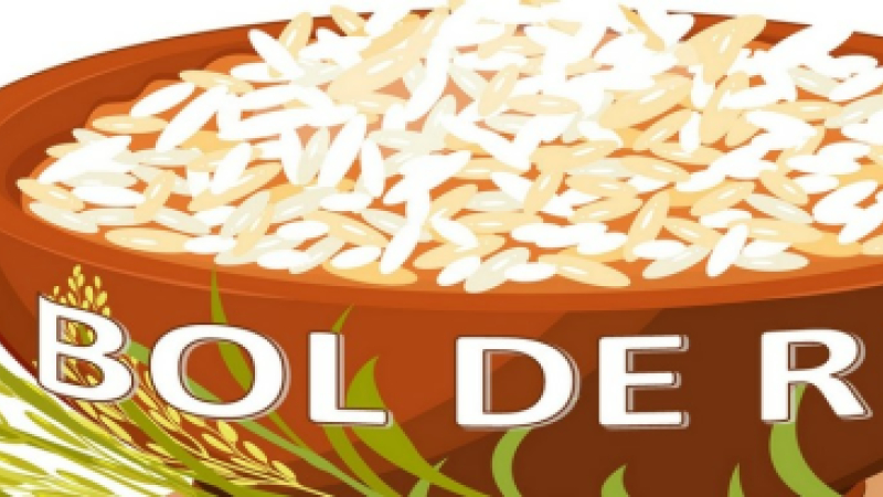Bol de riz