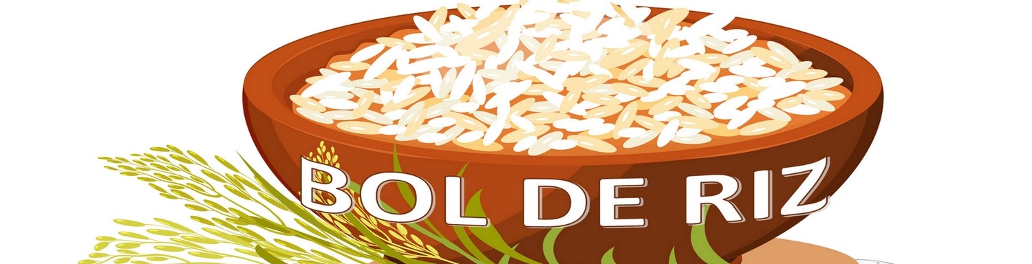 bol de riz 2a.jpg