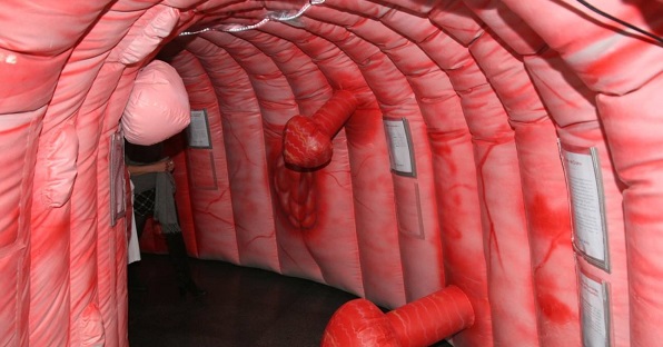 image3.jpg
