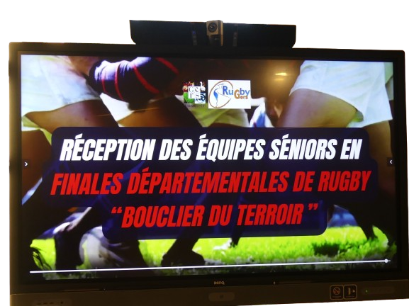 P2240874-removebg-preview.png