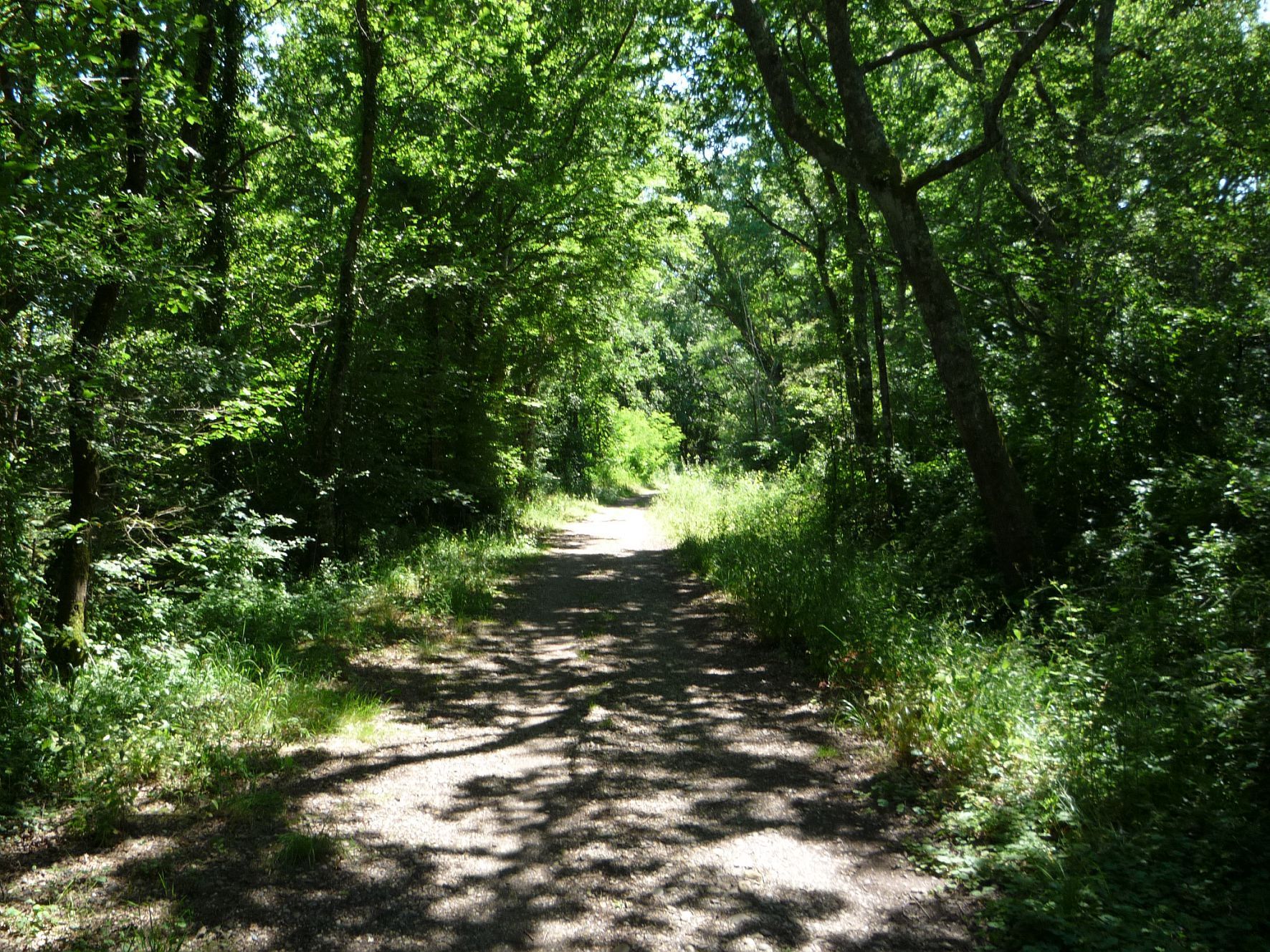 Photo CD 32