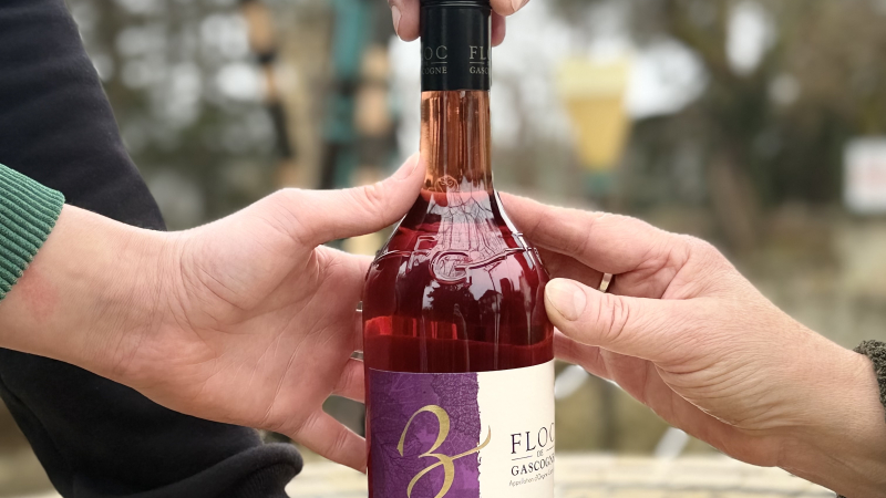 Le Domaine de Bilé remporte l’or pour son Floc de Gascogne Rosé au Concours Général Agricole de Paris