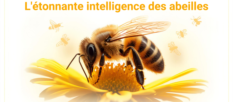 Quand la science rencontre le jardin à Pavie