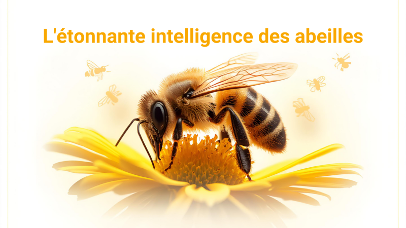 Quand la science rencontre le jardin à Pavie