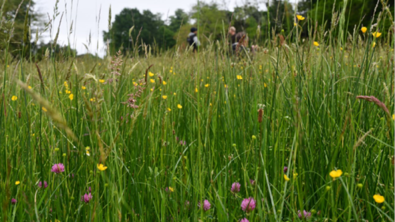 Concours  des pratiques agroécologiques dans le Gers : ouverture des candidatures
