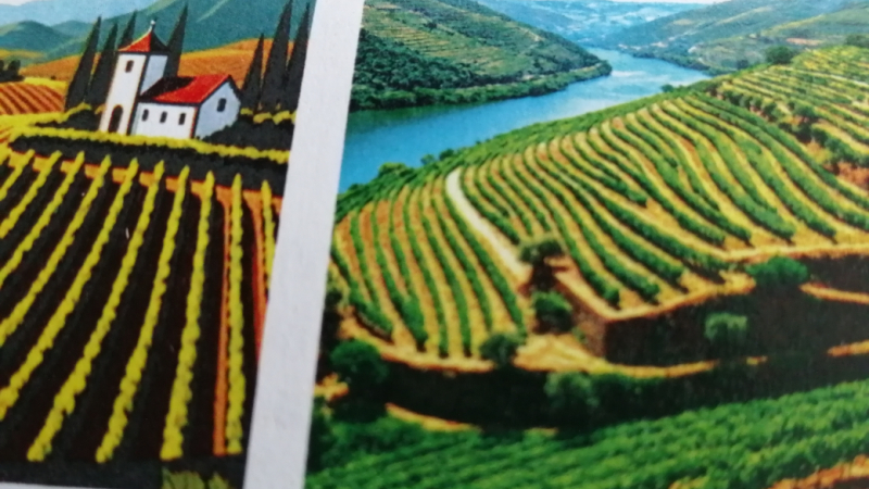 A la découverte des vignobles Jerez, Porto et Madère.