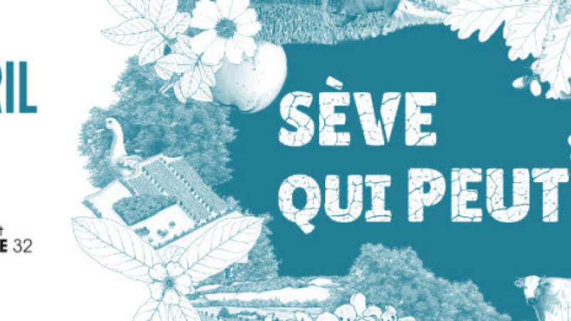 Seconde édition du festival " Sève qui Peut"