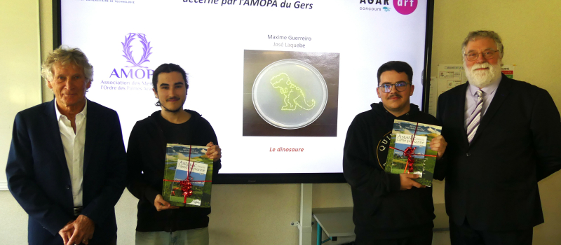 IUT: Le concours Agar'Art et le prix AMOPA