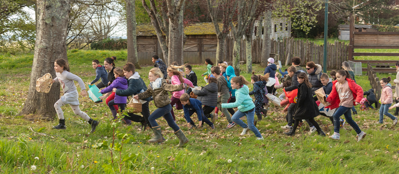 Chasse aux œufs
