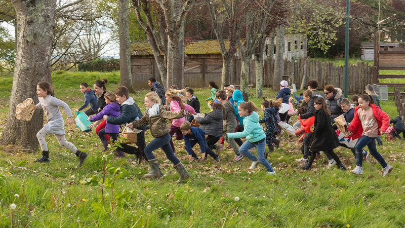 Chasse aux œufs