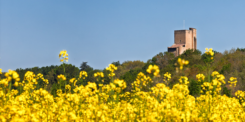la tour de Termes-d'Armagnac