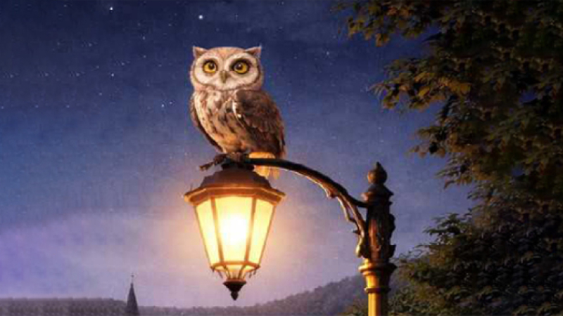Les lumières de la ville