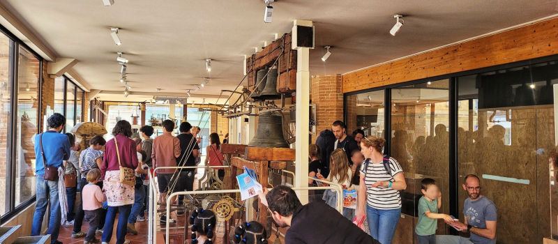 Découvrir les collections du Musée