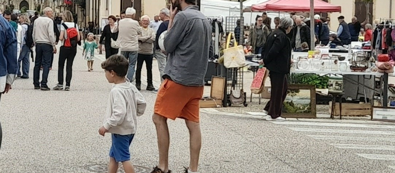 Marché aux plantes et vide greniers