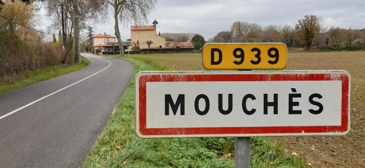 Mouches (1)qa.jpeg