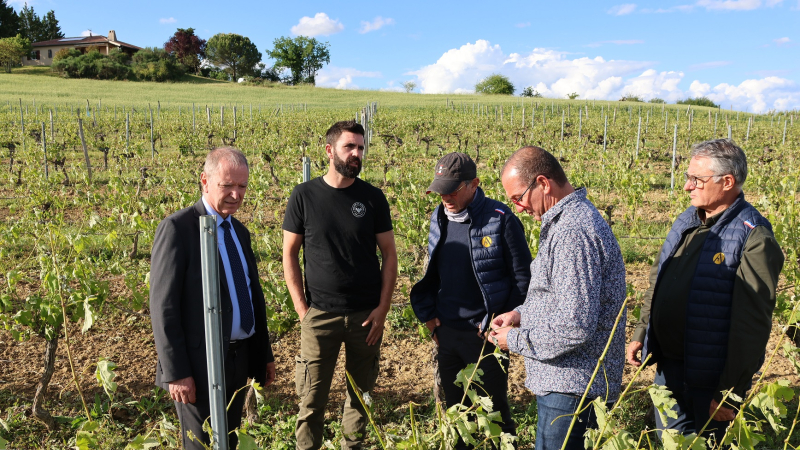 Le préfet du Gers est allé constater à Roquelaure les dégâts causés par la grêle
