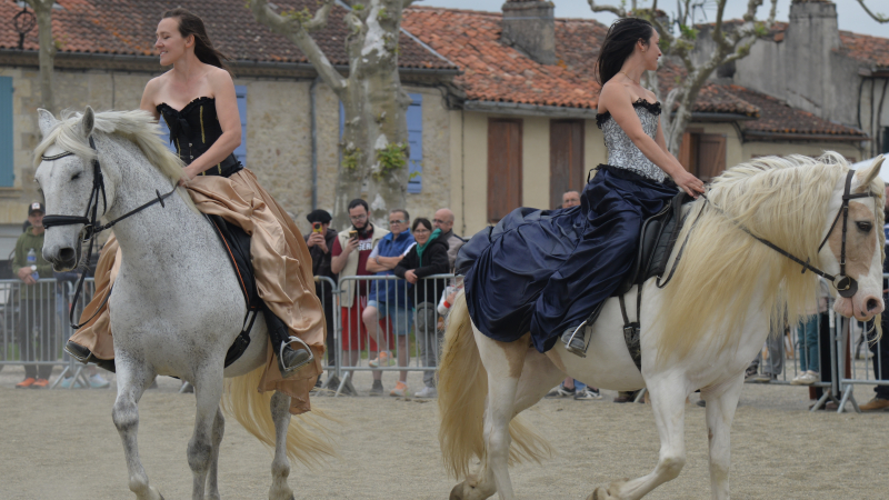 La Fête du cheval 2026 entre tradition et renouveau