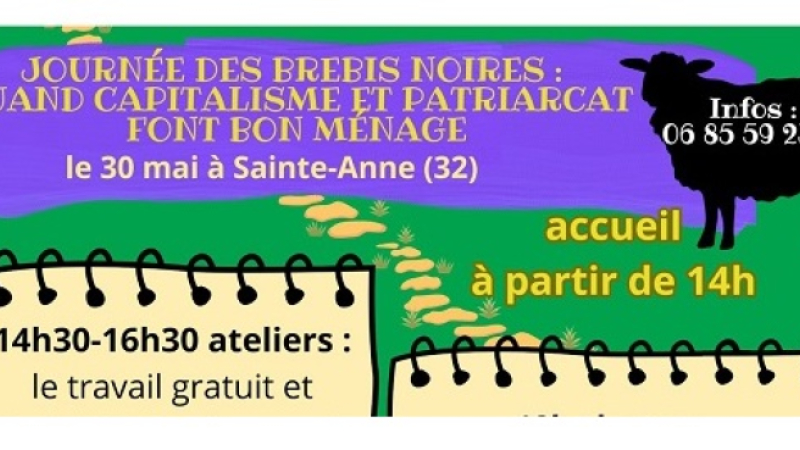 "Journée des brebis noires" par le collectif les Dézingueuses samedi 30 mai